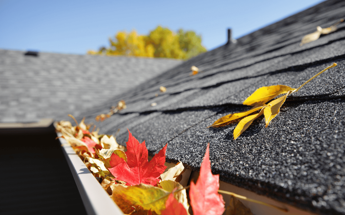 September Homeowner Tips for Idaho Residents
